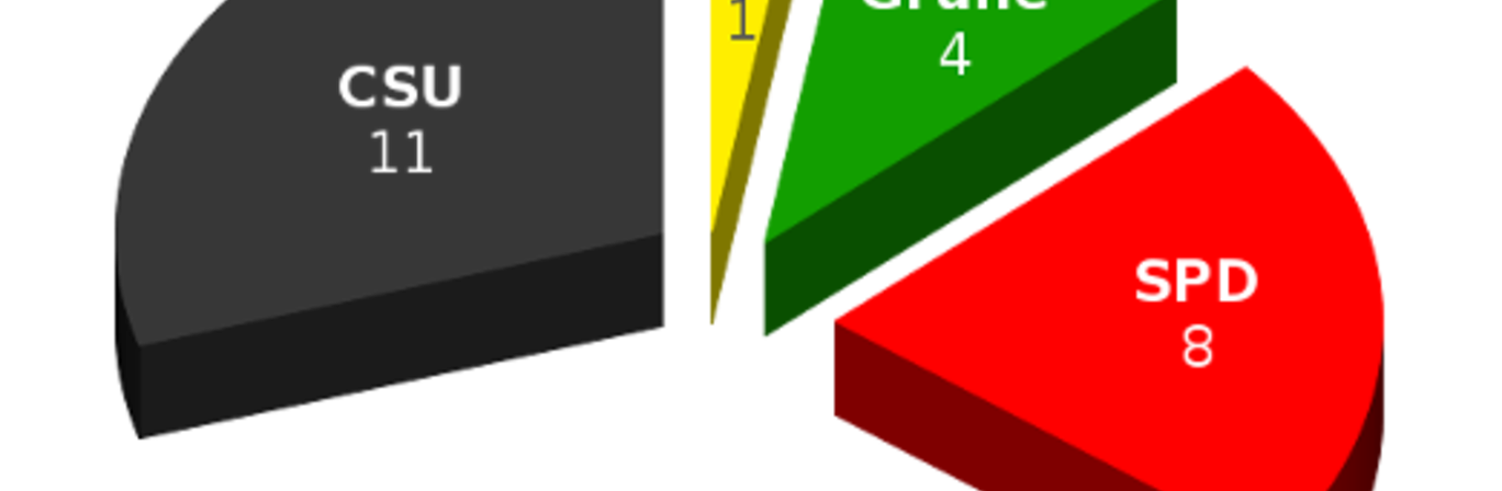 Wahl 2008 im Kreisdiagramm